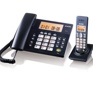 步步高/BBK W101 特种电话机